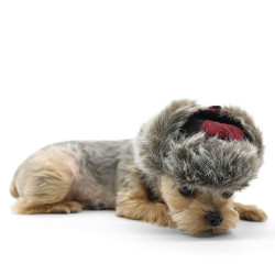 Trapper Hat - Plaid