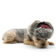 Trapper Hat - Plaid