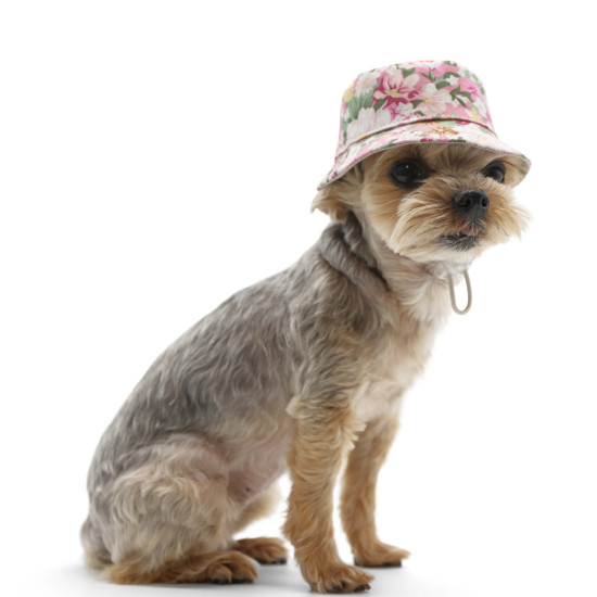 Blossom Bucket Hat