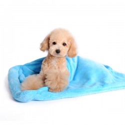 Blanket Bed