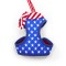 EasyGo USA