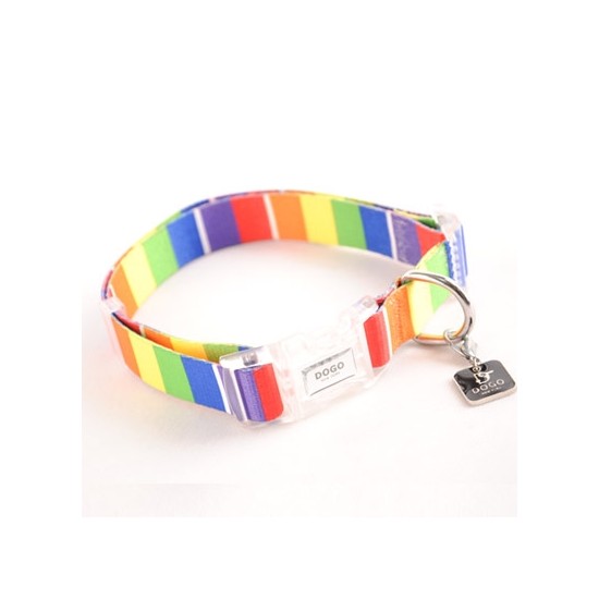 Contempo Collar & Lead