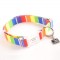 Contempo Collar & Lead