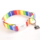 Contempo Collar & Lead