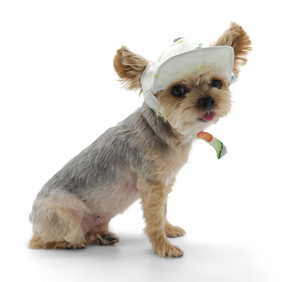 Avocado Hat