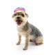 Rainbow Bucket Hat
