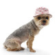 Cherish Heart Bucket Hat