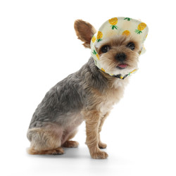 Pineapple Hat