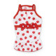 Strawberry Dress
