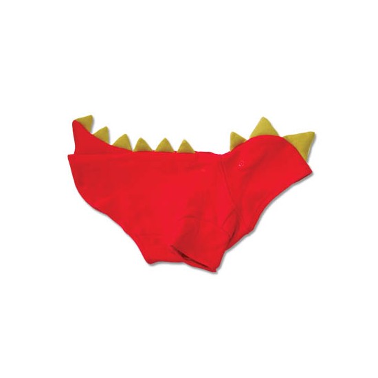 Dragon Sweatshirt