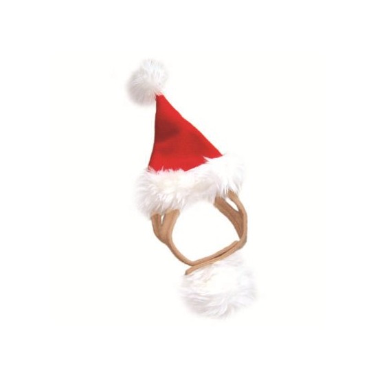 Santa Hat
