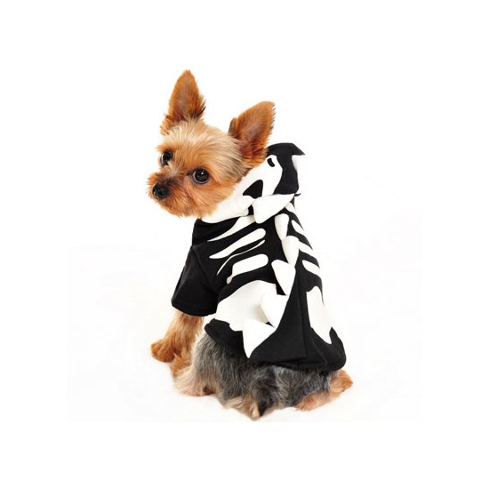Dragon Skull Sweatshirt