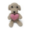 Puppy Heart