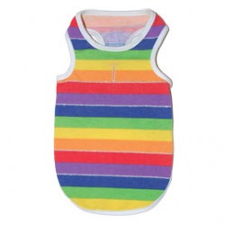 Rainbow Tank