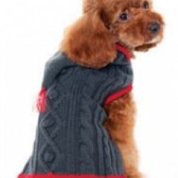 Tidy Cable Hoodie Sweater