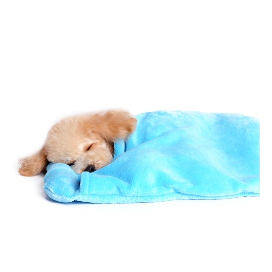 Blanket Bed