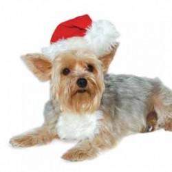 Santa Hat