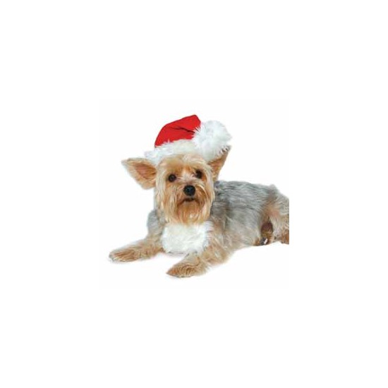 Santa Hat
