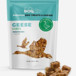 Geese Cubes