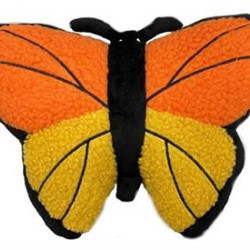 Wildlife - Bella the Monarch Butterfly