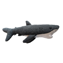 Wildlife - Gilly the Great White Shark