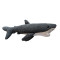 Wildlife - Gilly the Great White Shark