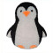 Wildlife - Polly the Penguin
