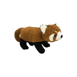 Rocky the Red Panda