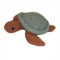 Wildlife - Sammy the Sea Turtle