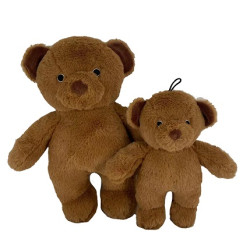 Roosevelt the Bear
