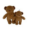 Roosevelt the Bear