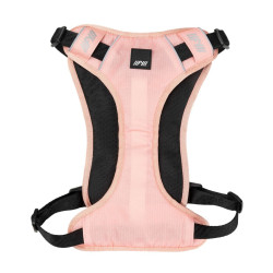 Active - Go Harness