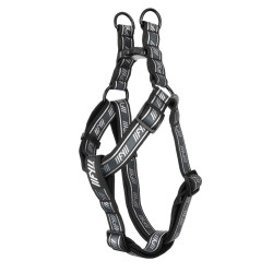 Active - Strap Harness