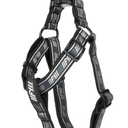 Active - Strap Harness