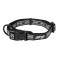 Active - Collar