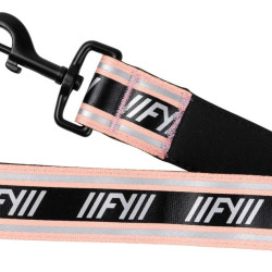 Active - Seatbelt
