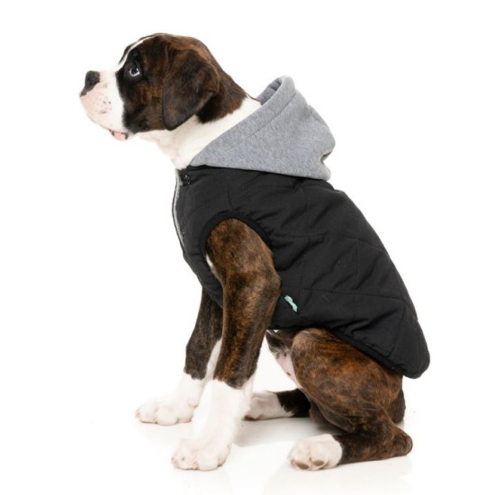 Hoodies - Cremorne