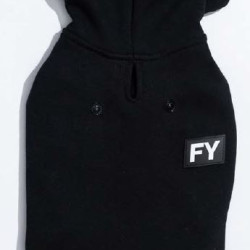 Hoodies - Flash
