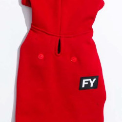 Hoodies - Flash