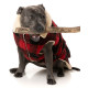 Jackets - Lumberjack 24