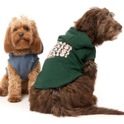 Hoodies - Treats