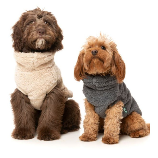 Sweaters - Turtle Teddy
