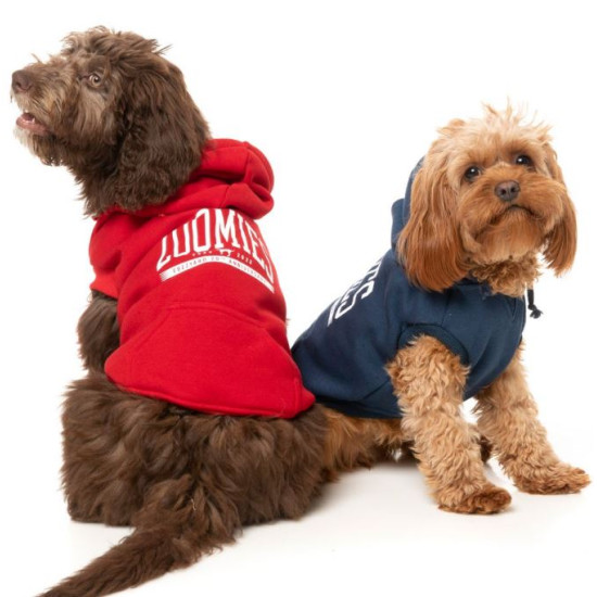 Hoodies - Zoomies