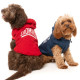Hoodies - Zoomies