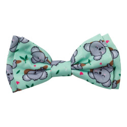 Dreamtime Koalas