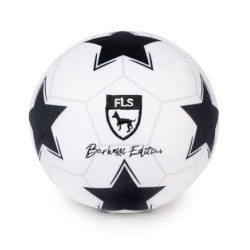 Sport Balls - Soccer Ball