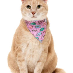Cat Fashion Packs