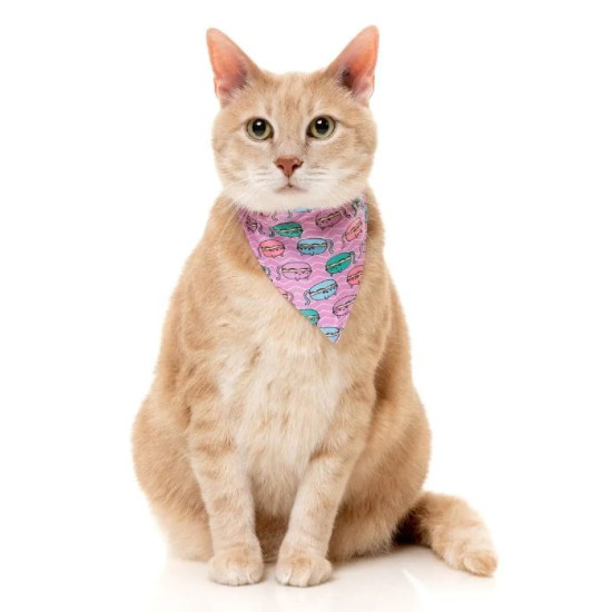 Cat Fashion Packs
