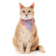 Cat Fashion Packs