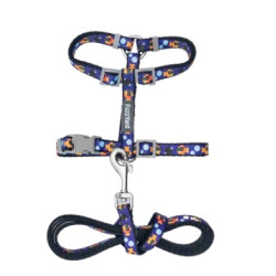 Cat Walking Set